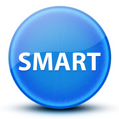 Smart eyeball glossy elegant blue round button abstract