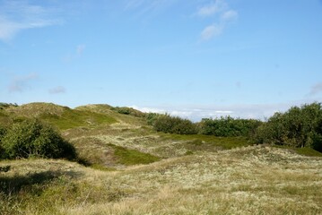 Dünenlandschaft