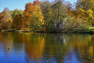 Fototapeta na wymiar Amazing autumn landscape - small pond in the autumn park - A beautiful autumn day - colorful autumn