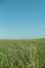 Obraz premium Cape Cod 