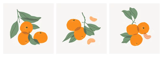 Fotobehang Set of decorative still lifes with tangerines. Hand drawing mandarin slices, twigs and leaves. Ideal for print, posters, postcards, design creation. Vector trendy triptych. © Irina Popova