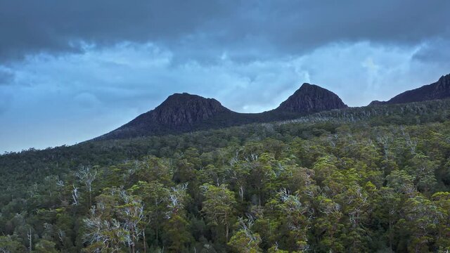 Dramatic landscape of Tasmania nature. Forest and mountains