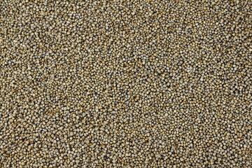 pearl millet grain whole  for indian  food recipe as food background