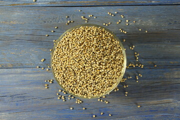 Fototapeta na wymiar pearl millet grain whole in bowl for indian gujarati food recipe 
