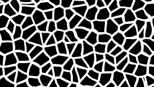 Animated Voronoi diagram (4K 3840x2160 30fps).