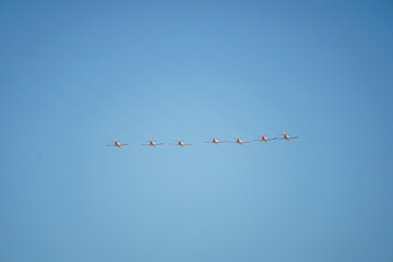 Eagle patrol in formation during the October 12 air parade for the celebration of Hispanic Day, on a sunny day with blue skies