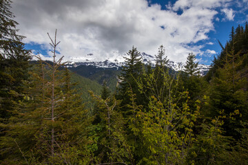 Mount Rainier in the cloud during Spring, view from Paradise Road at Mount Rainier National Park in Washington State.