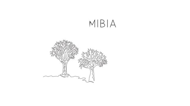 Animated self drawing of continuous line draw quiver tree forest. Decorative aloidendron dichotomum for home decor wall art poster print. Tourism and travel series. Full length one line animation.
