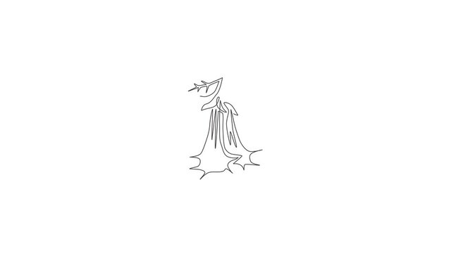 Animated self drawing of continuous line draw beauty fresh brugmansia for home decor wall art poster print. Decorative angel trumpet flower concept for greeting card. Full length single line animation