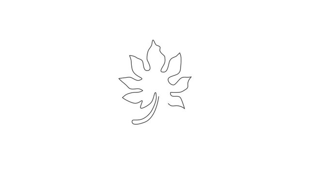 Animated self drawing of continuous line draw tropical papaya leaf plant. Printable poster decorative houseplant concept for home wall decor ornament. Full length single line animation illustration.