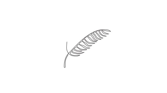 Animation of one line drawing tropical leaf fern plant. Printable poster decorative houseplant concept for home wall decor wallpaper ornament. Continuous line self draw animated. Full length motion.