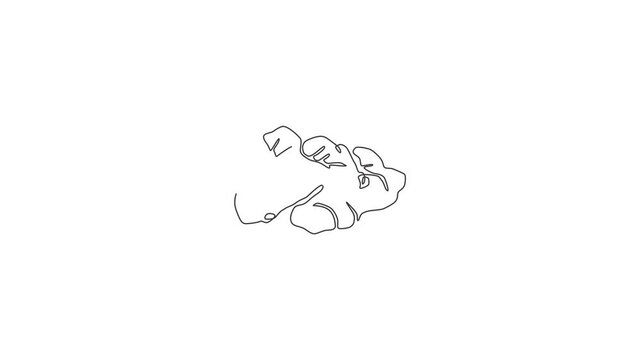 Animation of one line drawing healthy organic ginger for farm logo identity. Fresh flowering plant rhizome concept herbaceous perennial icon. Continuous line self draw animated. Full length motion.