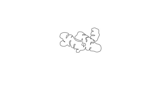 Animated self drawing of one continuous line draw healthy organic ginger for farm logo identity. Fresh flowering plant rhizome concept herbaceous perennial icon. Full length single line animation.