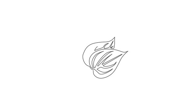 Animation of one single line drawing of pile healthy organic betel leaf for farm logo identity. Mouth freshener utility concept for plant icon. Continuous line self draw animated. Full length motion.
