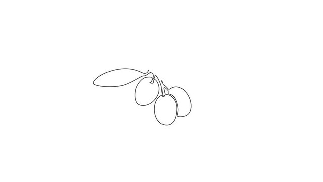 Animation of one single line drawing of heap healthy organic olive fruit for garden logo identity. Fresh core ingredients concept for fruit icon. Continuous line self draw animated. Full length motion