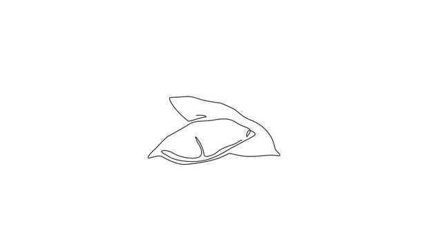 Animation of one line drawing of whole healthy organic sweet potato for bindweed logo identity. Fresh morning glory concept for vegetable icon. Continuous line self draw animated. Full length motion.