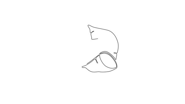 Animated self drawing of single continuous line draw whole healthy organic sweet potato for orchard logo identity. Fresh ipomoea batatas concept for botanically icon. Full length one line animation.