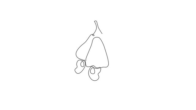 Animated self drawing of single continuous line draw whole healthy organic cashew apple for orchard logo identity. Fresh Brazil caju concept for fruitage garden icon. Full length one line animation.