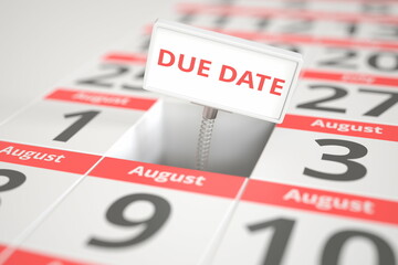 DUE DATE sign on August 2 in a calendar, 3d rendering