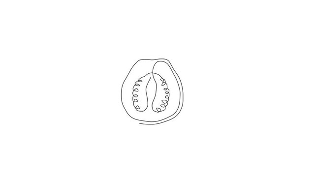 Animation of one line drawing half sliced healthy organic java guava for orchard logo identity. Fresh tropical fruit concept for garden icon. Continuous line self draw animated. Full length motion.