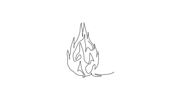 Animated self drawing of one continuous line draw whole healthy organic dragon fruit for orchard logo identity. Fresh dragonfruit concept for fruit garden icon. Full length single line animation.