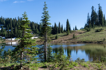 Trail around Tipsoo Lake in Mt. Rainier National Park Washington USA