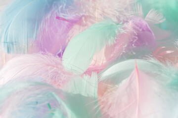 Pastel fluffy feathers background