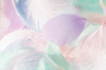 Fototapeta na wymiar Pastel fluffy feathers background