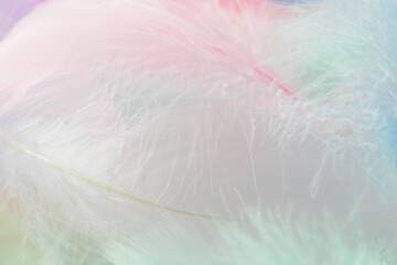 Pastel fluffy feathers background