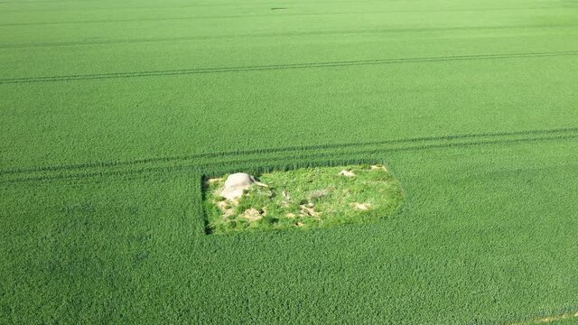 Un vestige d'une batterie d'artillerie allemande en Europe, en France, en Normandie, vers Arromanches, en &eacute;t&eacute;, lors d'une journ&eacute;e ensoleill&eacute;e.