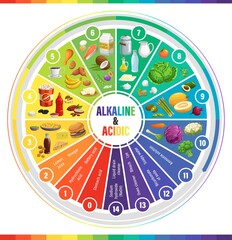 Round PH scale indicators chart, acids balance measure meter, vector chemistry science. PH alkaline and acidic indicators scale, chemical solution base values in water and food, vegetables and fruits