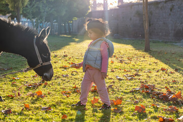 Tie the donkey to the tree in the park. A little girl is feeding a donkey. Autumn season, fallen leaves and a beautiful sun, Brown leaves on grass - Powered by Adobe