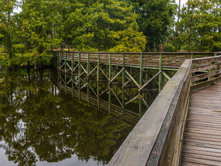 Bridge Angles and Cypress Trees Reflecting