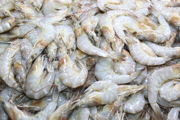 bunch fresh shrimps on a market