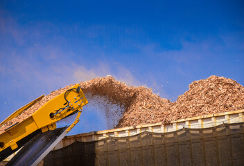 Biomass Forestry Wood Chip Energy