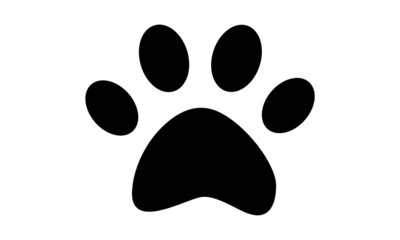 Fototapeta premium pet
