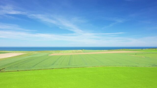 Les champs de lin et d'orge au bord de la mer de la Manche en Europe, en France, en Normandie, vers Deauville, en &eacute;t&eacute;, lors d'une journ&eacute;e ensoleill&eacute;e.