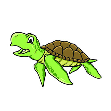 turtle mascot illustration