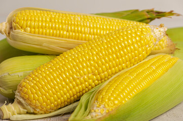  Fresh corn on the cob 
