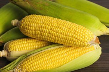 Close up . Fresh corn on rustic wood table background.