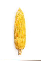 corn ear isolated