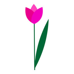 Pink tulip icon. Floral background. Holiday gift element. Cartoon style. Hand drawn art. Vector illustration. Stock image.