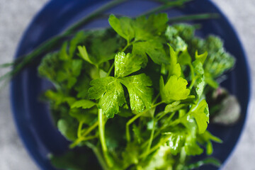 freshly picked mixed greens including Italian parsley broccolini and chives, healthy plant-based...