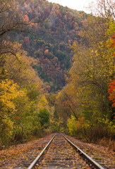 Ozark Mountain Landscapes in Fall