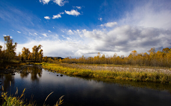 Stillwater River Aspens in Fall
