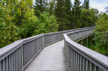 Fototapeta na wymiar Boardwalk with railing through a forest on a cloudy day, Katmai National Park, Alaska 