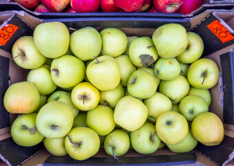 Naklejka na ściany i meble box with Golden apples.market trading