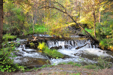 A small waterfall on a shallow river flowing through the morning forest.