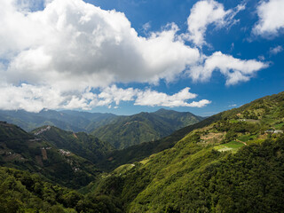 Green mountain forest in Taiwan.