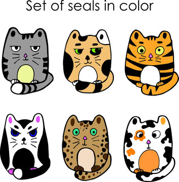 Illustrations vector graphics. Image of a cat. Funny character. Design of children's content. Black outline and color.